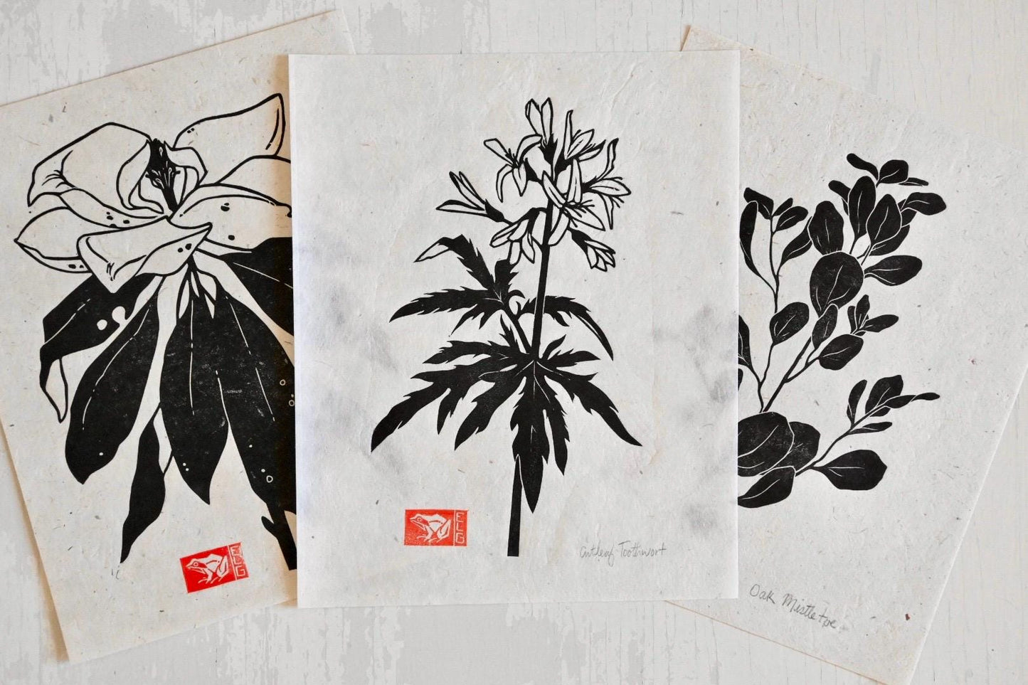 Cutleaf Toothwort ✦ Linocut Wildflower Print