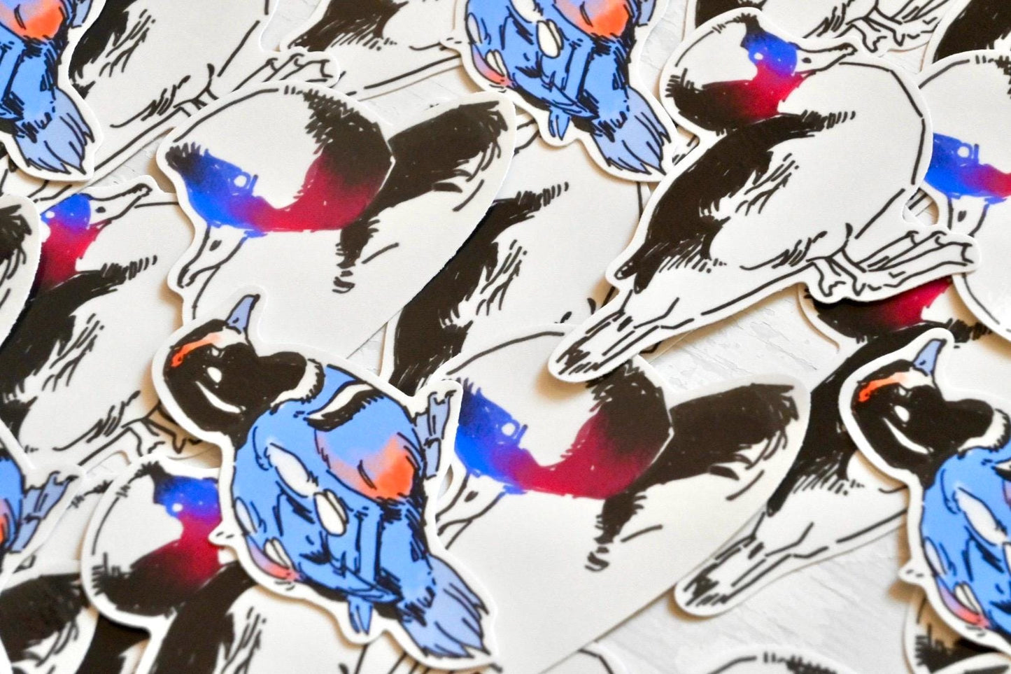 Bufflehead & Harlequin Duck Sticker Pack ✦ Glossy Stickers ✦ 3 Inches