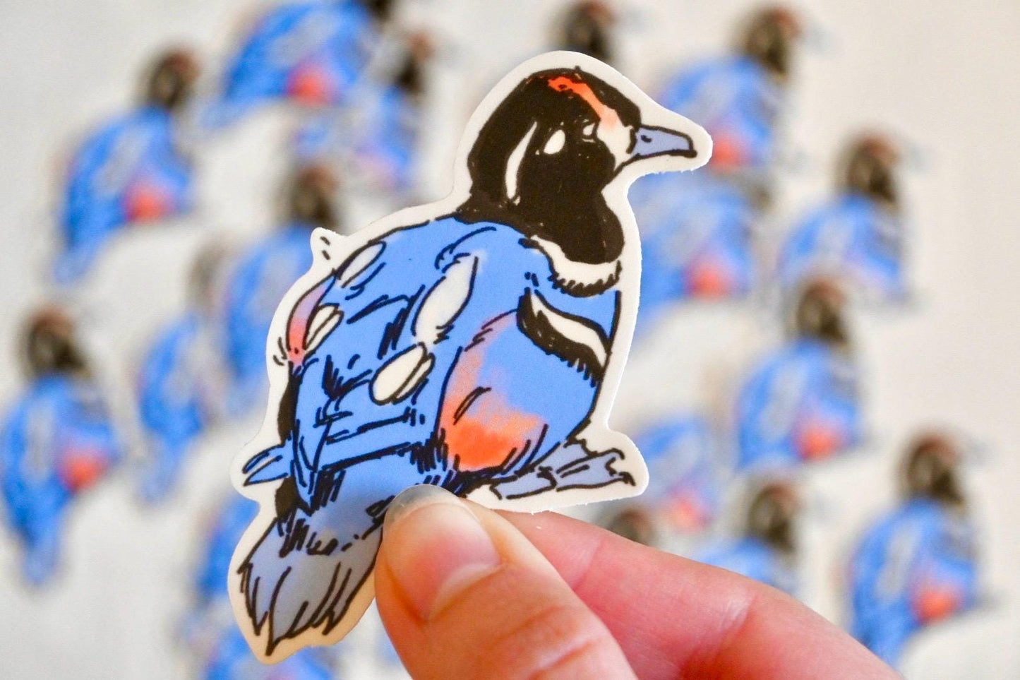 Bufflehead & Harlequin Duck Sticker Pack ✦ Glossy Stickers ✦ 3 Inches
