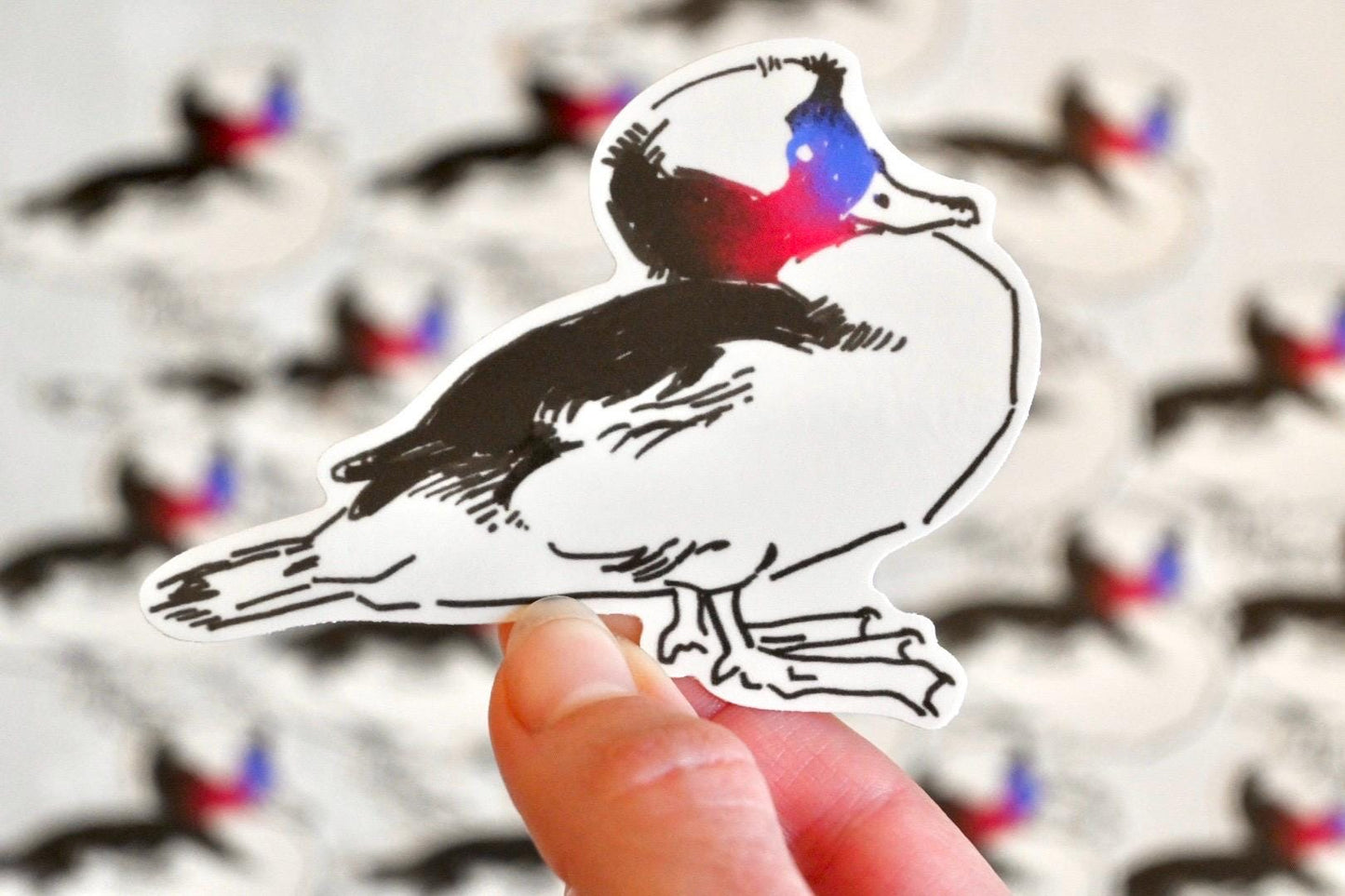 Bufflehead & Harlequin Duck Sticker Pack ✦ Glossy Stickers ✦ 3 Inches