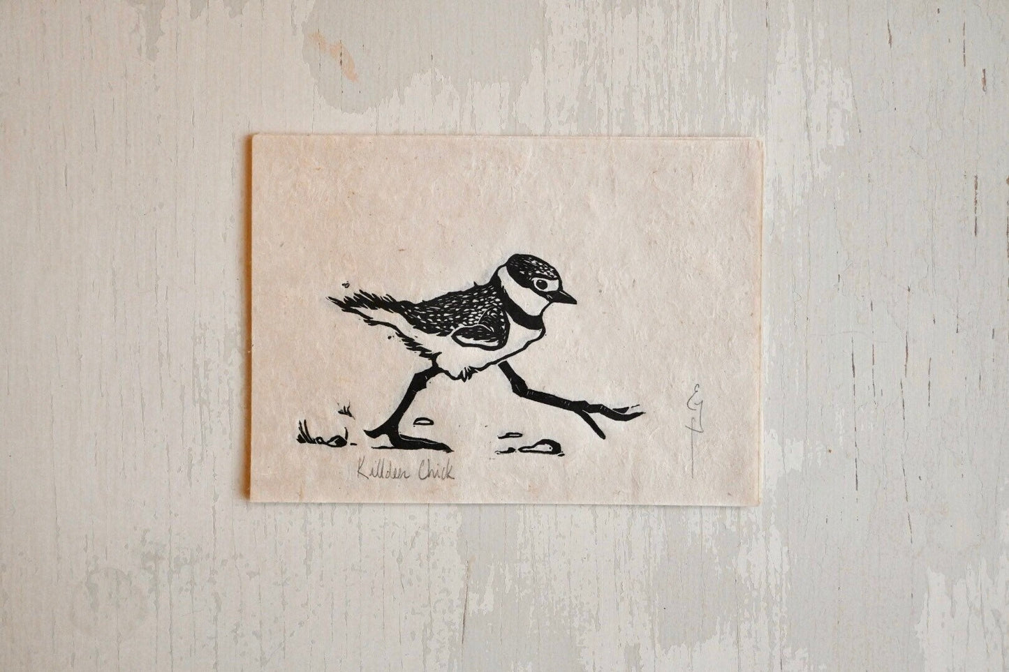 Killdeer Chick ✦ Linocut Print