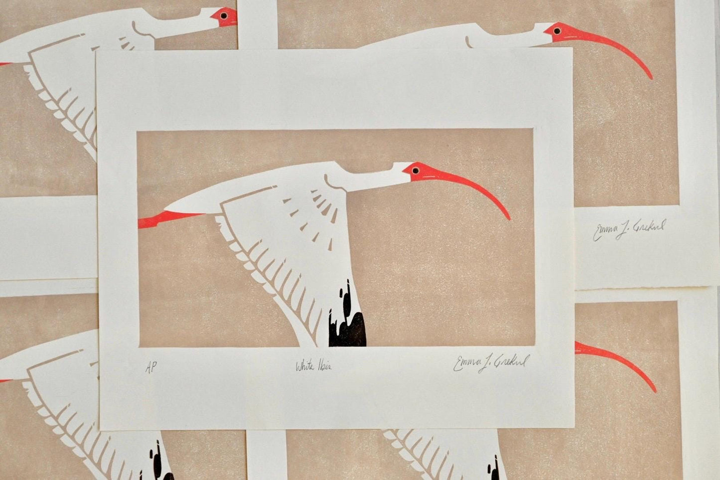 American White Ibis ✦ Limited Edition Linocut Print