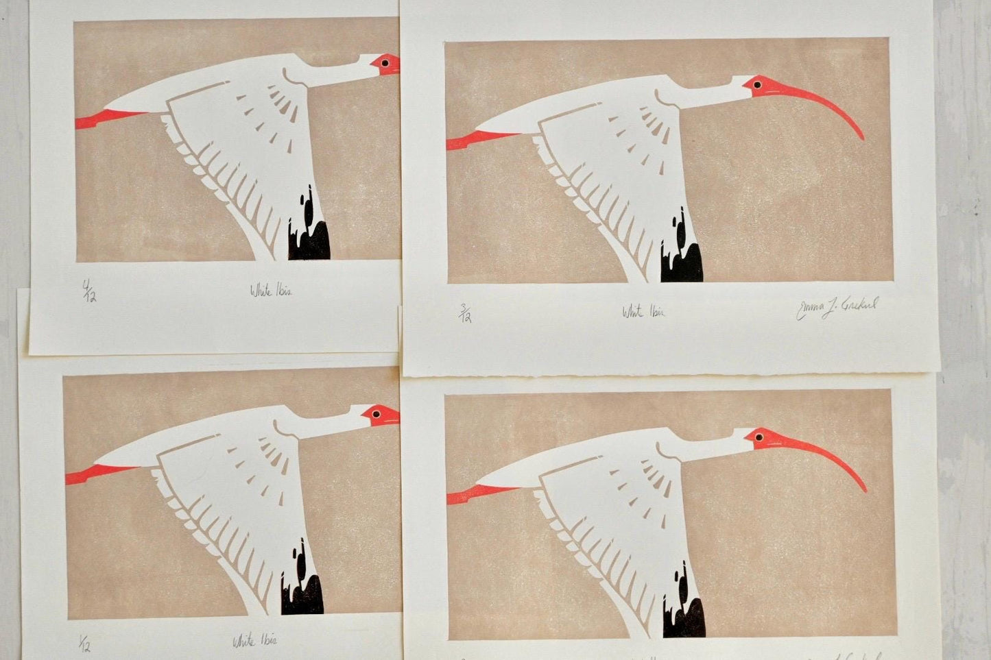 American White Ibis ✦ Limited Edition Linocut Print