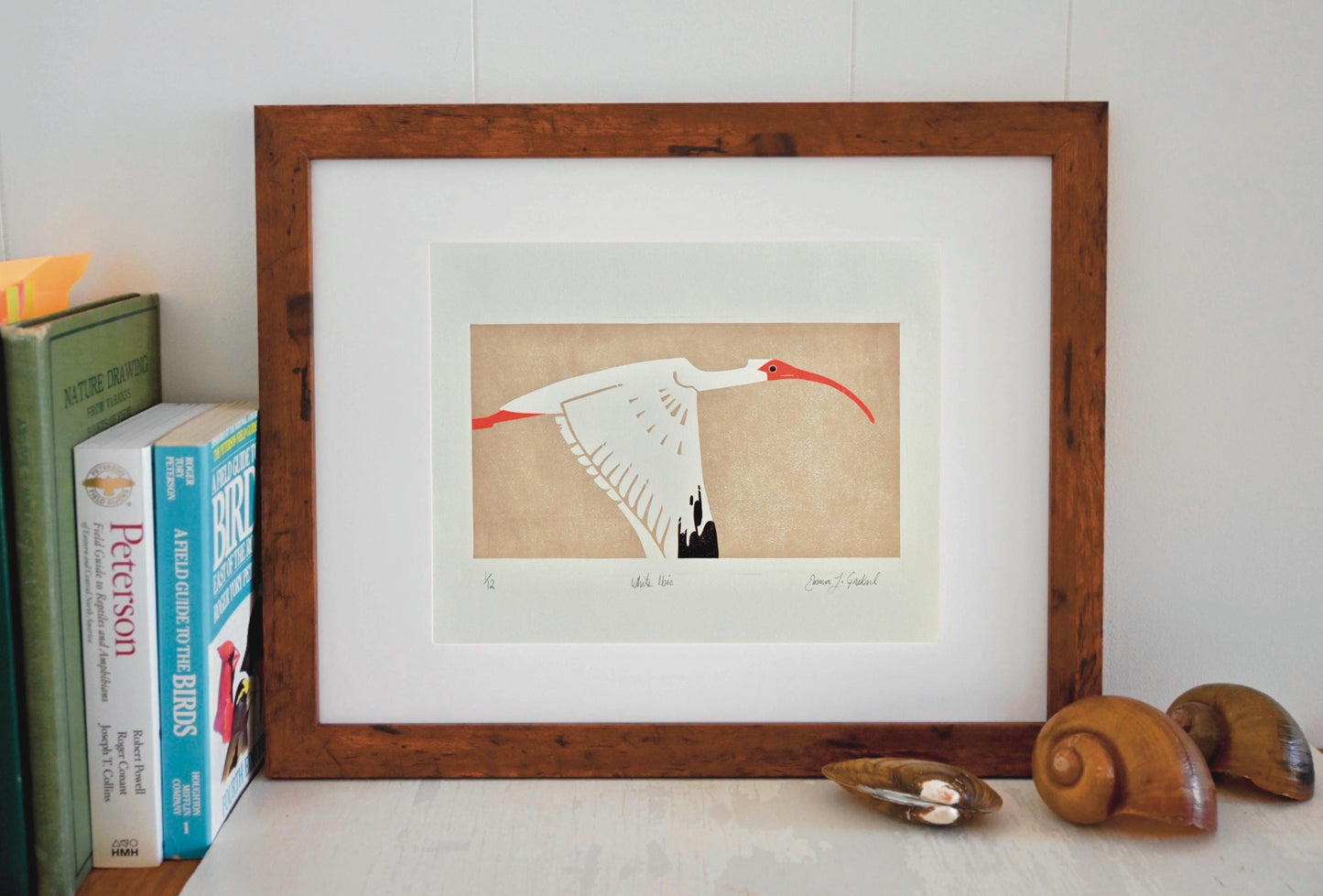 American White Ibis ✦ Limited Edition Linocut Print