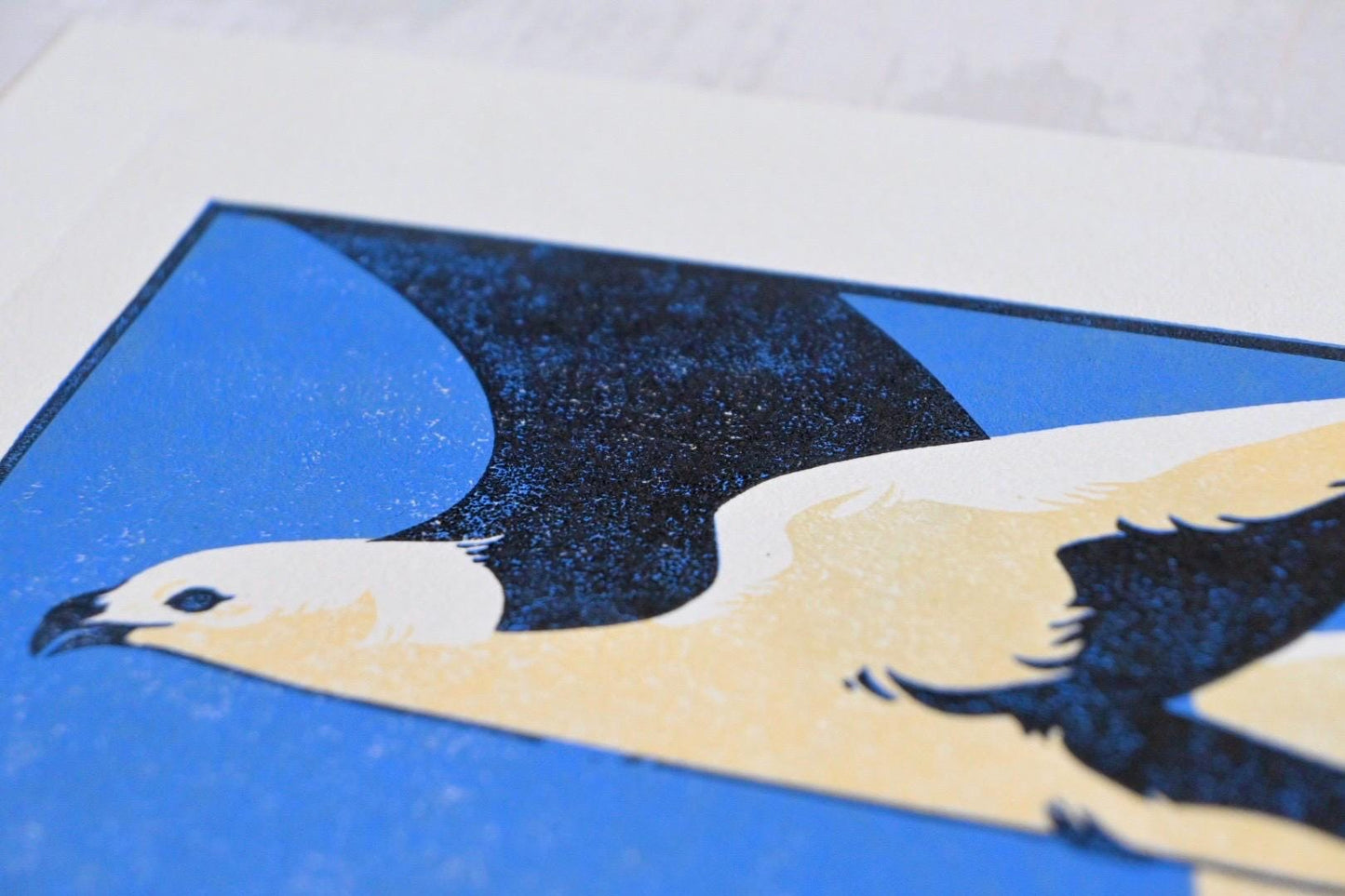 Swallow-Tailed Kite ✦ Limited Edition Linocut Print