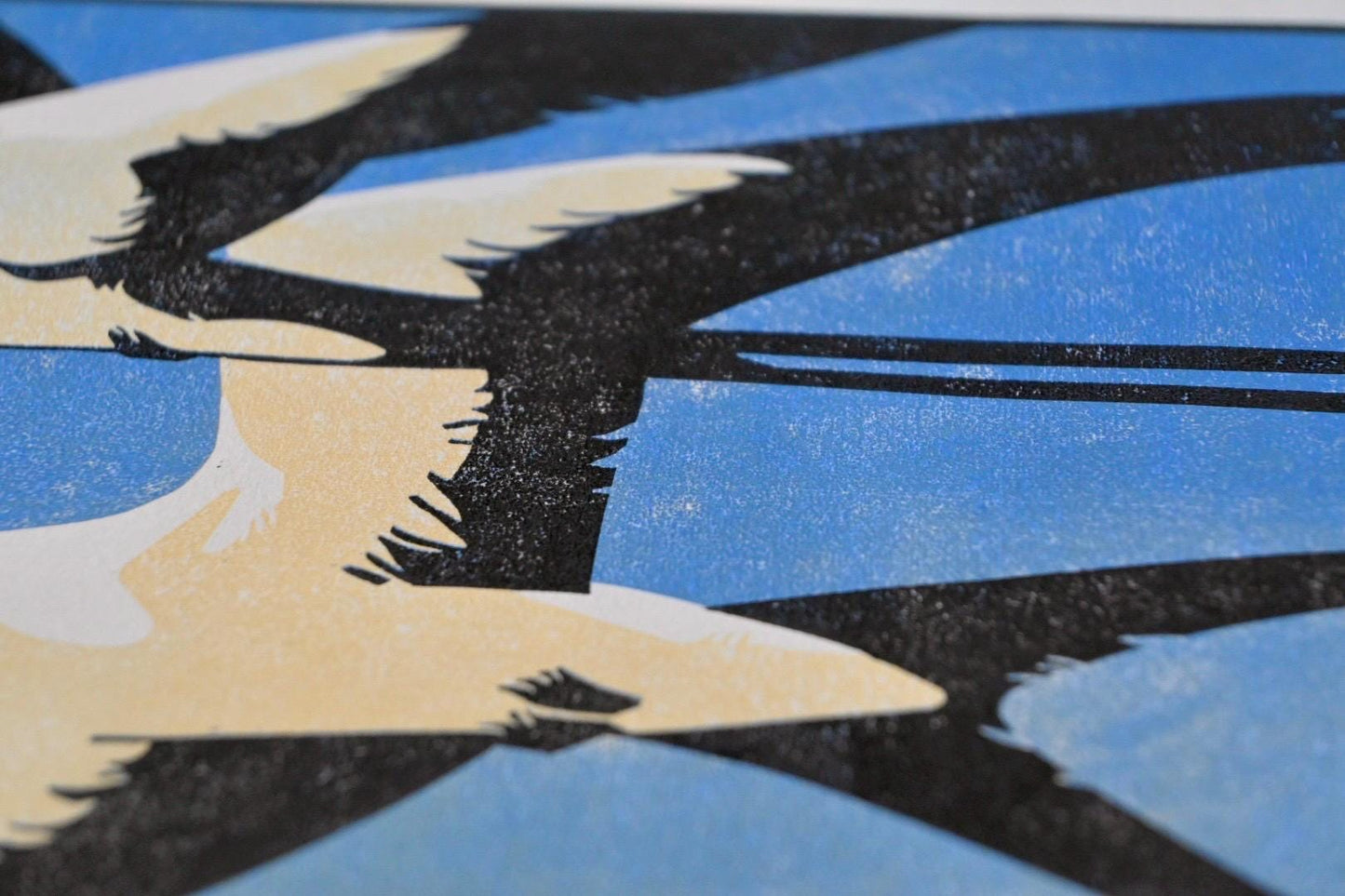 Swallow-Tailed Kite ✦ Limited Edition Linocut Print
